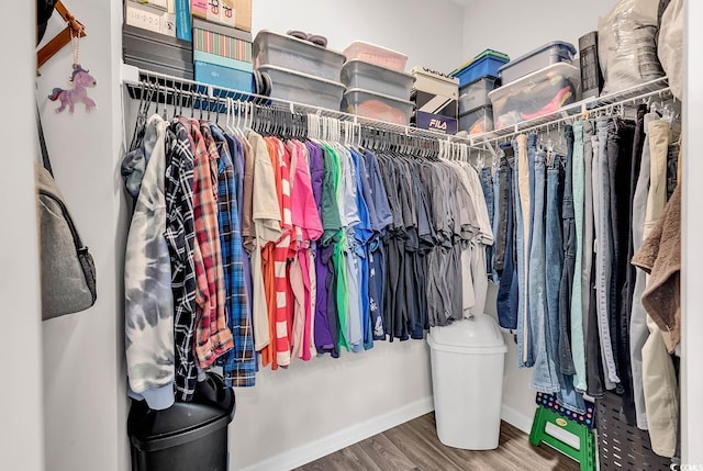 spacious closet featuring hardwood / wood-style floors