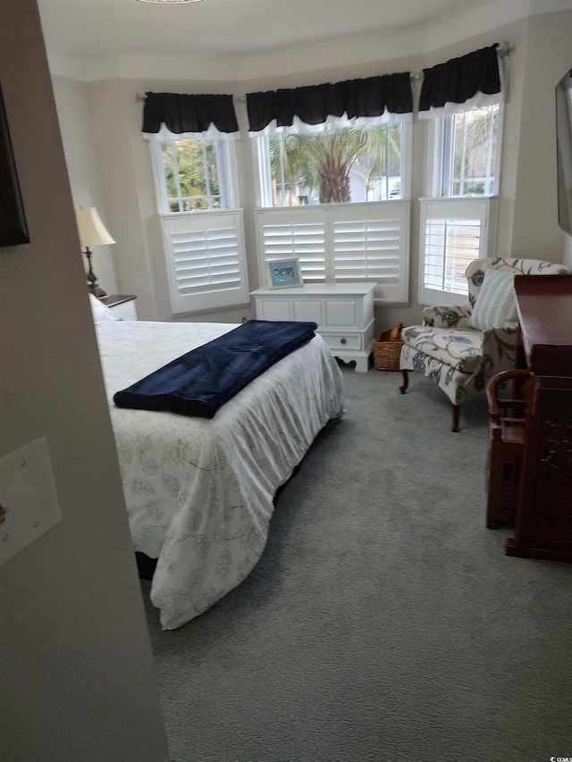 bedroom featuring carpet flooring and multiple windows