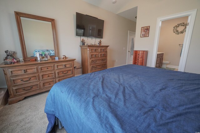 141 Baylee Cir, Galivants Ferry, SC 29544 - carpeted bedroom with ensuite bath