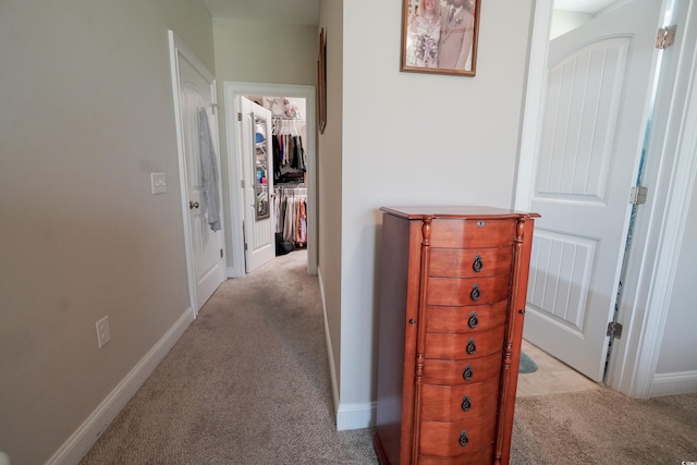141 Baylee Cir, Galivants Ferry, SC 29544 - hallway with carpet floors and baseboards