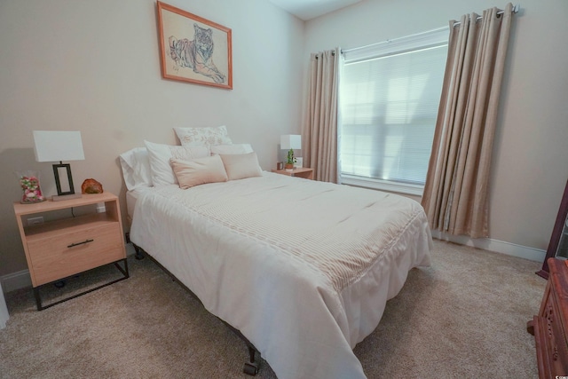 141 Baylee Cir, Galivants Ferry, SC 29544 - carpeted bedroom featuring baseboards