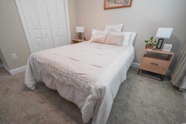 141 Baylee Cir, Galivants Ferry, SC 29544 - carpeted bedroom featuring baseboards and a closet
