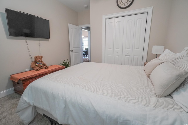 141 Baylee Cir, Galivants Ferry, SC 29544 - carpeted bedroom with a closet and baseboards