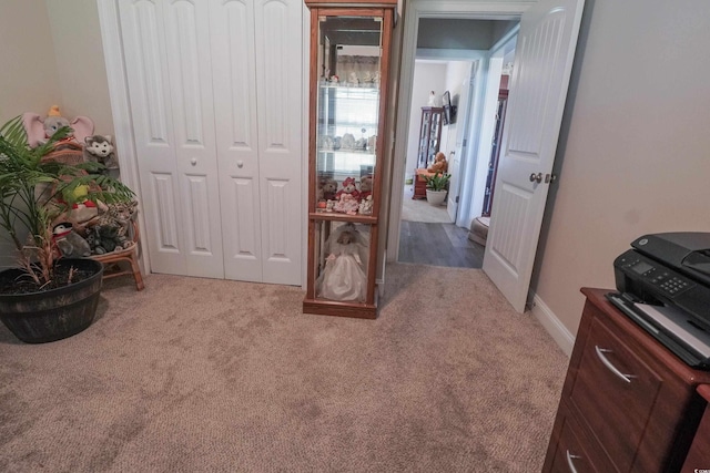 141 Baylee Cir, Galivants Ferry, SC 29544 - bedroom featuring light carpet and a closet