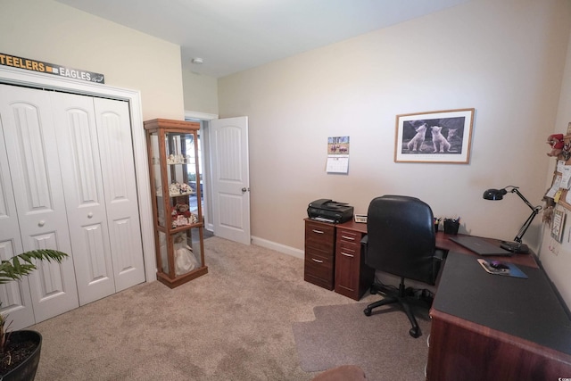 141 Baylee Cir, Galivants Ferry, SC 29544 - office space with light carpet