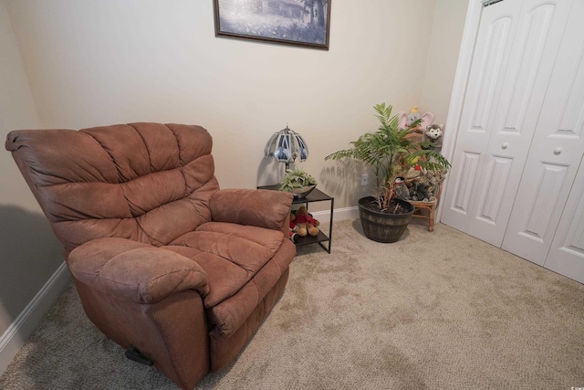 141 Baylee Cir, Galivants Ferry, SC 29544 - living area featuring carpet and baseboards