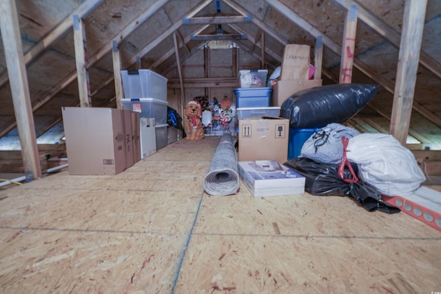 141 Baylee Cir, Galivants Ferry, SC 29544 - view of attic