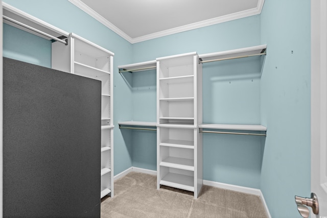 3716 Mackevans Ct, Myrtle Beach, SC 29579 - spacious closet with carpet flooring