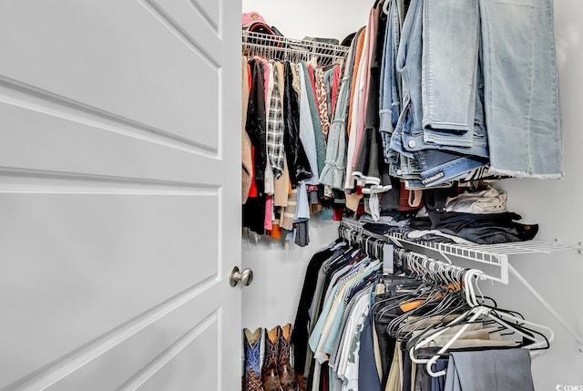 view of walk in closet