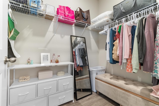 walk in closet featuring light wood-type flooring