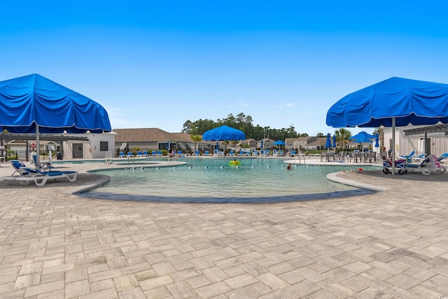 view of pool featuring a patio