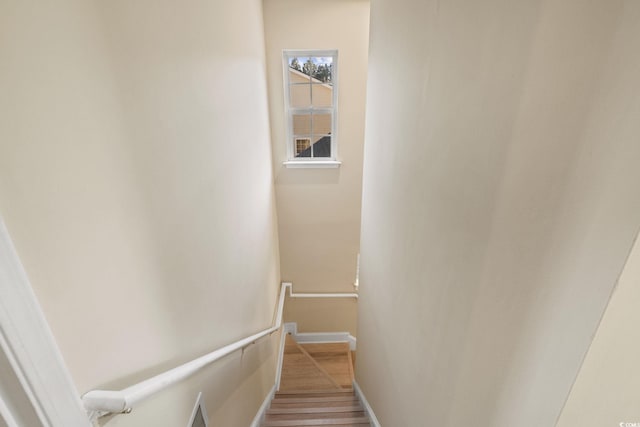 stairway with hardwood / wood-style flooring