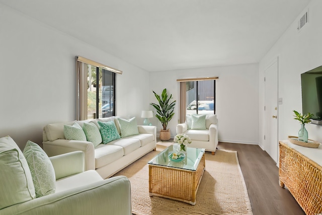 living room featuring hardwood / wood-style floors