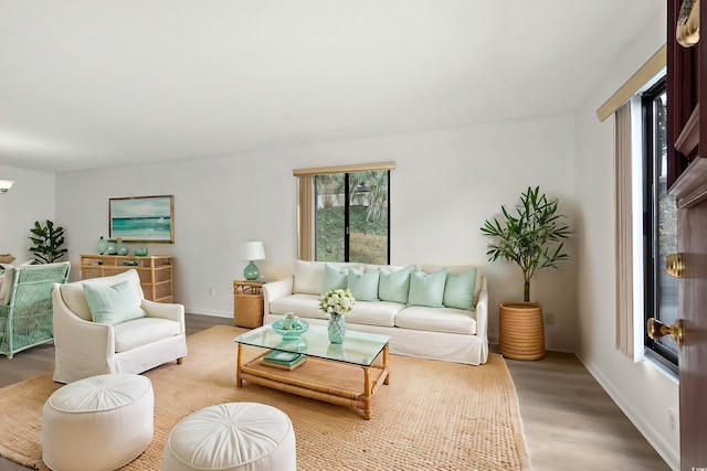 living room with light hardwood / wood-style flooring