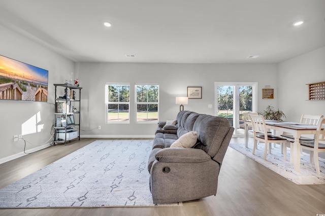 living room with hardwood / wood-style flooring