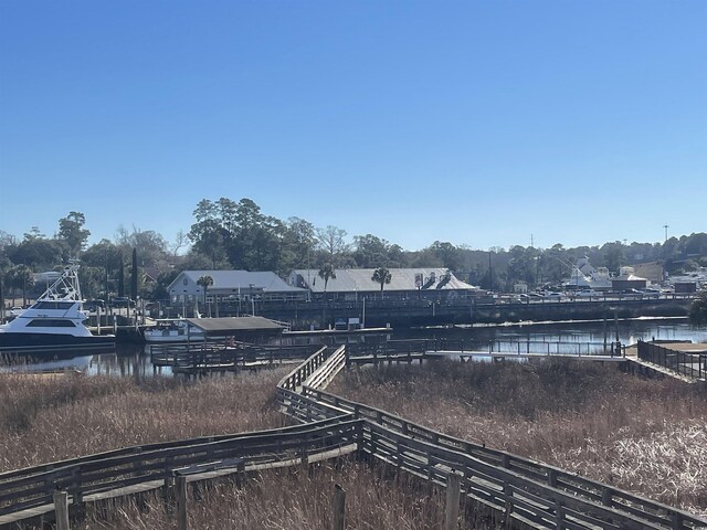 dock area with a water view