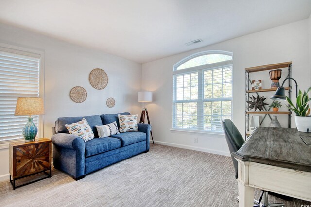 home office with light colored carpet