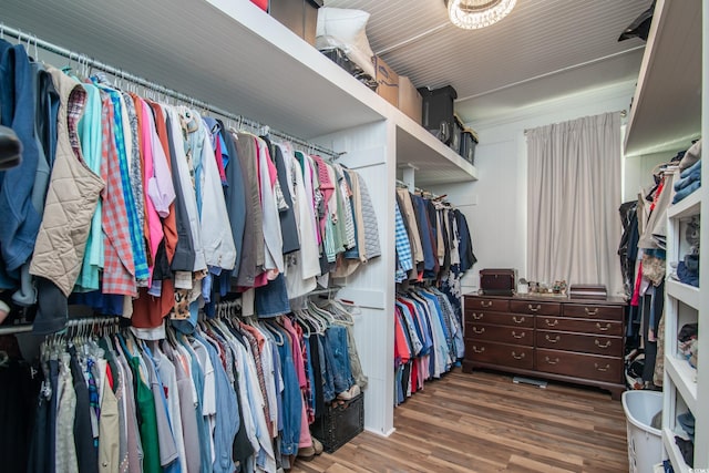 walk in closet featuring dark hardwood / wood-style floors