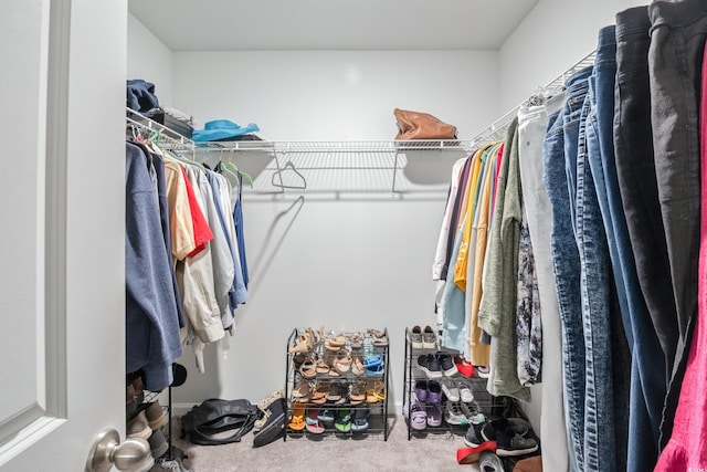 124 Golden Bear Cir, Longs, SC 29568 - walk in closet with carpet flooring