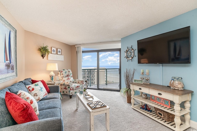 living room with carpet flooring and a textured ceiling