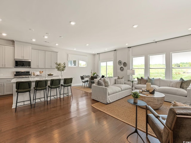 5032 Riverton Ct, Myrtle Beach, SC 29579 - living room featuring a wealth of natural light and dark hardwood / wood-style flooring