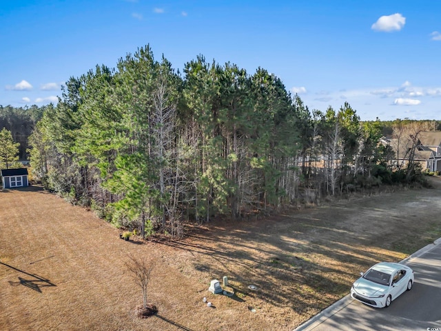 4313 Bradford Dr, Conway SC, 29526 land for sale