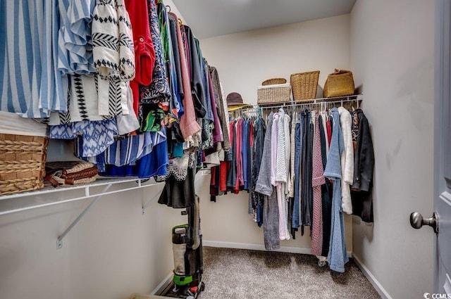 walk in closet featuring carpet flooring