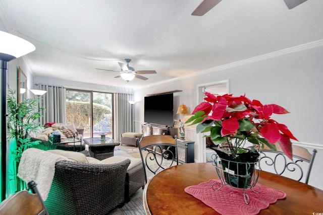 living room with crown molding and ceiling fan