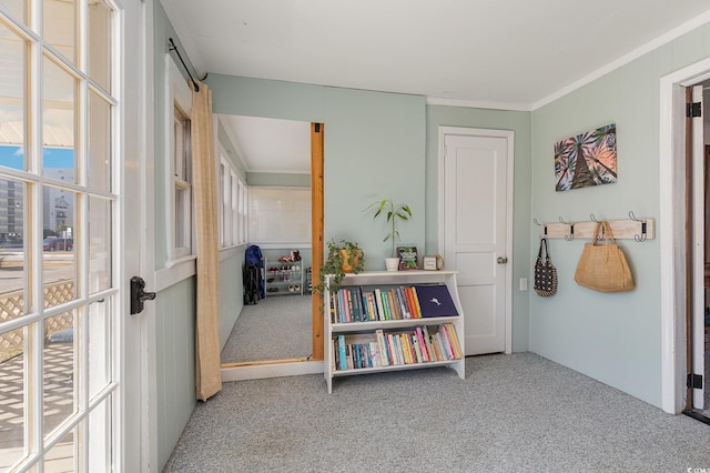 interior space with carpet and ornamental molding