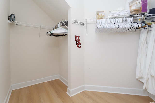 spacious closet featuring wood-type flooring