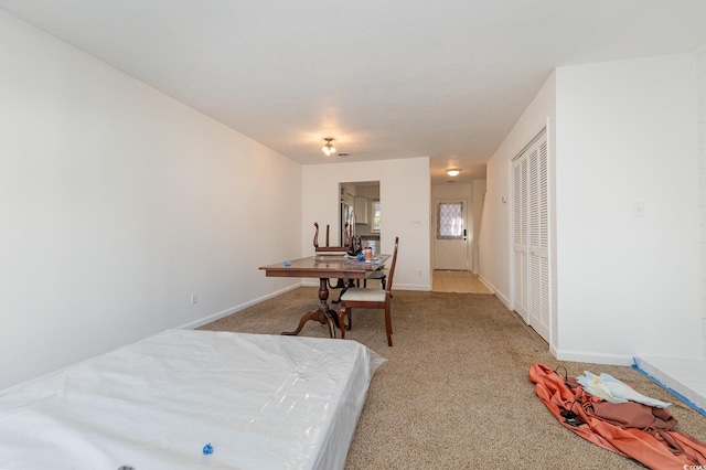 interior space with light colored carpet and a closet