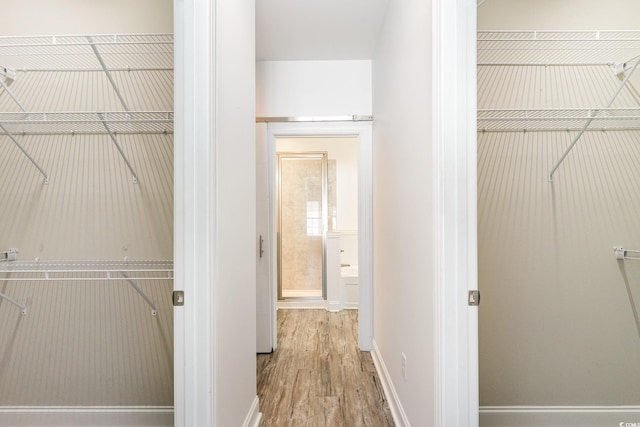 walk in closet with hardwood / wood-style flooring