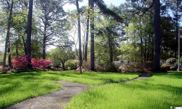 view of community featuring a lawn