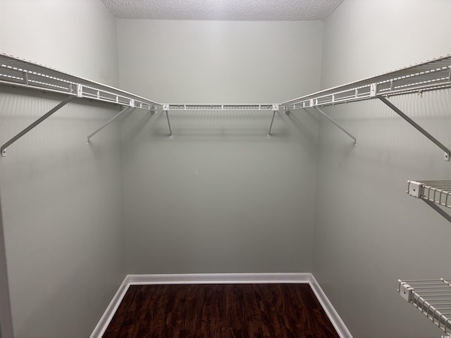 walk in closet featuring wood finished floors