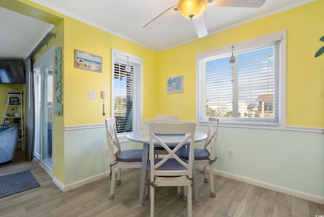 dining room featuring ceiling fan, light hardwood / wood-style floors, and crown molding