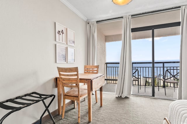 dining area featuring carpet floors, radiator, crown molding, and a water view