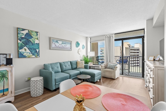 501 S Ocean Blvd Unit 708, North Myrtle Beach, SC 29582 - living area with wood finished floors, a textured ceiling, and baseboards
