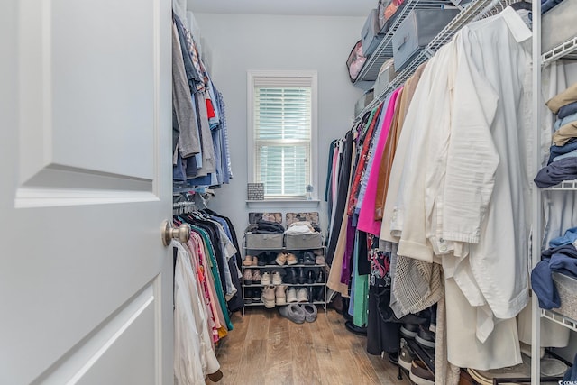 walk in closet featuring hardwood / wood-style flooring