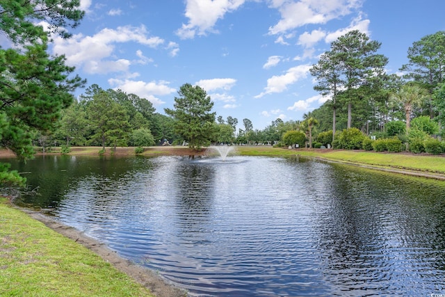 water view