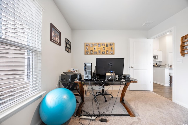 home office with carpet flooring