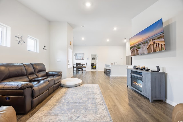 living room with wood-type flooring