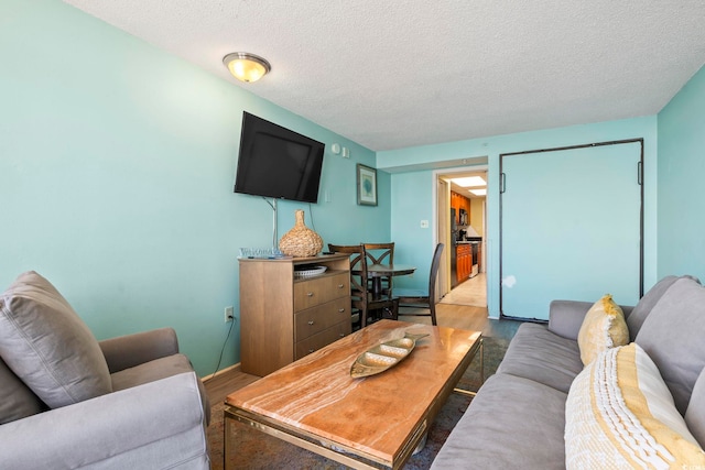 living room featuring a textured ceiling and hardwood / wood-style flooring