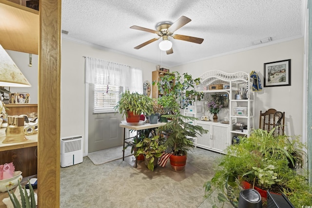 carpeted dining room with a textured ceiling, ceiling fan, and crown molding