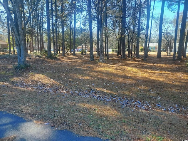 5 119th St, Little River SC, 29566 land for sale