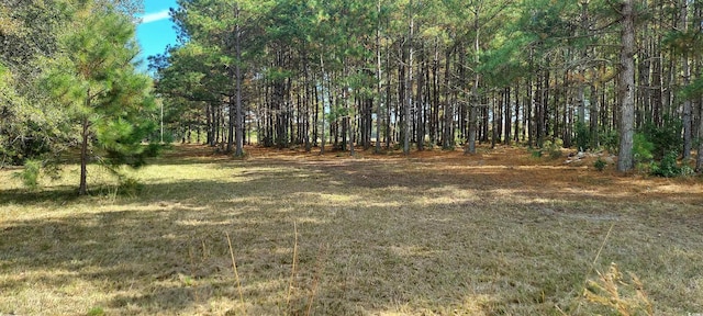 3025 Fowler Rd, Loris, SC 29569 - photo 1