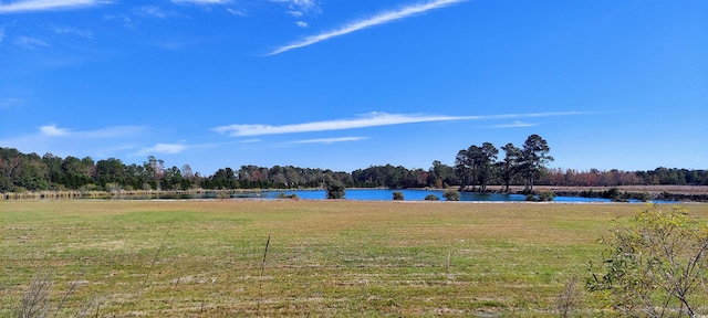 3025 Fowler Rd, Loris, SC 29569 - photo 2