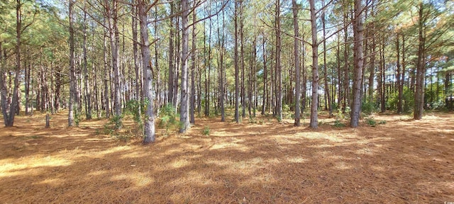 3025 Fowler Rd, Loris, SC 29569 - photo 4