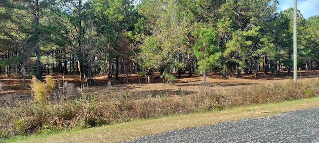 3025 Fowler Rd, Loris, SC 29569 - photo 5