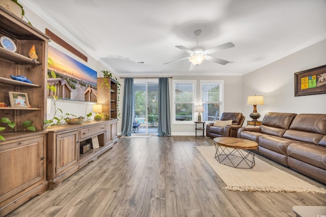 living room with ceiling fan, ornamental molding, and light hardwood / wood-style flooring