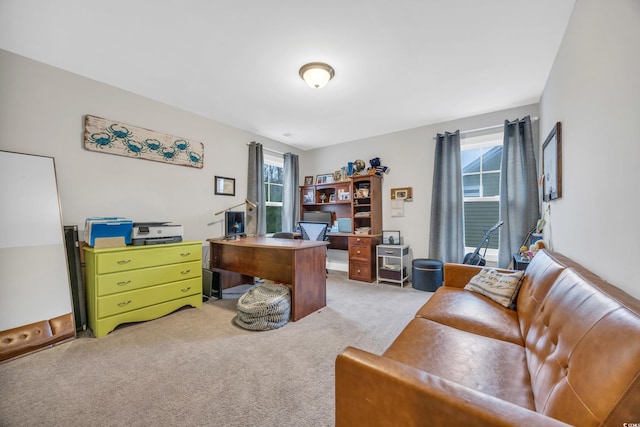 view of carpeted home office